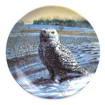 Talerz Kolekcjonerski Śnieżna Sowa E.M.Knowles